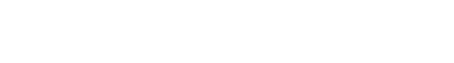 The official SAFEinSOUND logo. A stylized text with a morphed typeface in white text.